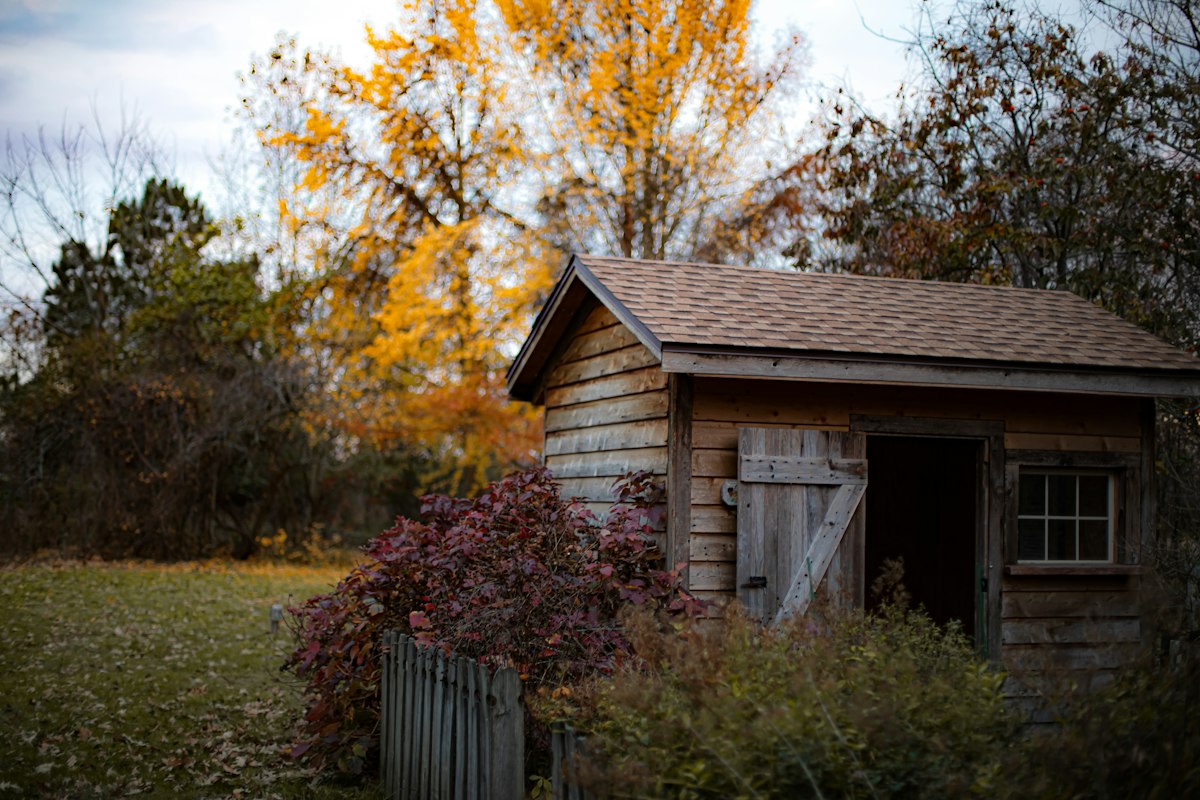 Timber garden shed